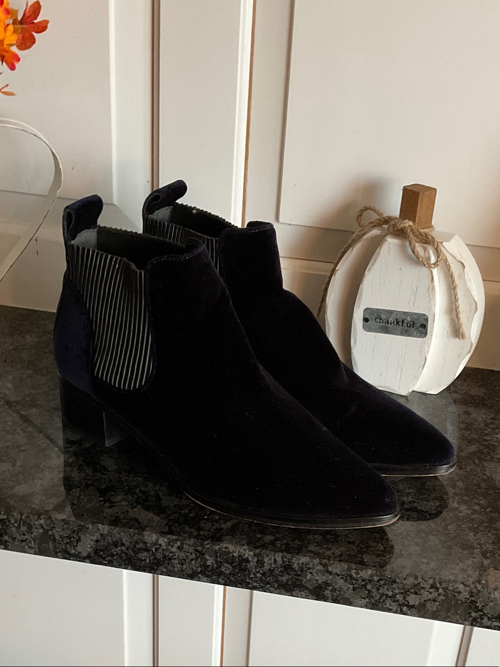 Dolce Vita Navy Velvet Chelsea Ankle Boots with Striped Elastic